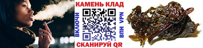цены наркотик  Талица  Гашиш Изолятор 