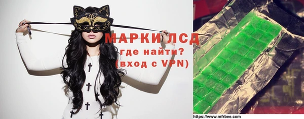 хмурый Новозыбков